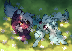 Size: 1920x1348 | Tagged: safe, artist:lara_kill_craft, fleetfoot, oc, oc:nighty cloud, pegasus, pony, g4, canon x oc, commission, commissioner:fleetfoot, duo, duo female, ear piercing, earring, female, fleetnight, flower, grass, grass field, happy, jewelry, lesbian, open mouth, piercing, ponyloaf, shipping, signature, smiling, spread wings, surprised, tail, wings