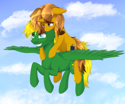 Size: 3000x2500 | Tagged: safe, artist:nihithebrony, oc, oc:amber honeycombs, oc:sky arrow, pegasus, pony, unicorn, commission, duo, female, high res, male, mare, stallion