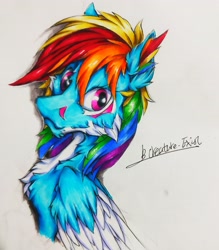 Size: 2888x3296 | Tagged: safe, artist:creature.exist, rainbow dash, pegasus, pony, g4, ear fluff, fluffy, high res, looking at you, simple background, solo, traditional art, white background, white fur, white wings