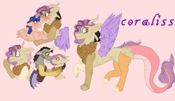 Size: 938x540 | Tagged: safe, artist:cocolove2176, discord, oc, oc:coraliss rose, alicorn, draconequus, hybrid, pony, g4, alicorn oc, blushing, bust, draconequus oc, female, horn, interspecies offspring, male, oc x oc, offspring, parent:discord, parent:flash sentry, parent:fluttershy, parent:twilight sparkle, parents:discoshy, parents:flashlight, pink background, reference sheet, shipping, simple background, wings