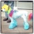 Size: 640x640 | Tagged: safe, rainbow dash, dog, g4, clothes, cosplay, costume, dogified, irl, nudity, photo, rainbow dog, sheath