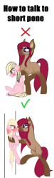 Size: 1755x5805 | Tagged: safe, artist:justapone, oc, oc:heart struck, oc:strawberry sand, pegasus, pony, saddle arabian, against wall, angry, blushing, blushing profusely, colored, duo, ear fluff, embarrassed, female, height supremacy, how to talk to short people, looking down, looking into each others eyes, male, mare, pegasus oc, raised leg, red eyes, simple background, size difference, smaller male, smiling, stallion, tall, taunting, tongue out, unshorn fetlocks, white background
