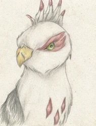 Size: 1714x2258 | Tagged: safe, artist:cindertale, oc, oc only, griffon, bust, griffon oc, solo, style emulation, traditional art