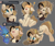 Size: 3000x2538 | Tagged: safe, artist:beardie, oc, oc only, oc:alsephina, oc:hyra glyph, earth pony, griffon, pony, bedroom eyes, behaving like a cat, blindfold, cheese, cheese slap, chest fluff, colored pupils, cute, ear fluff, exclamation point, eyes closed, face down ass up, female, food, frown, gray background, happy, high res, looking up, mare, missing cutie mark, mouth hold, open mouth, simple background, sitting, sliced cheese, smiling, tattoo, underhoof