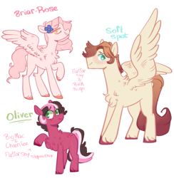 Size: 1757x1801 | Tagged: safe, artist:sugarysharky, oc, oc only, oc:briar-rose, oc:oliver, oc:soft spot, earth pony, pegasus, pony, chest fluff, female, flower, flower in hair, male, mare, offspring, parent:big macintosh, parent:bulk biceps, parent:cheerilee, parent:fluttershy, parents:cheerimac, parents:flutterbulk, parents:fluttermac, siblings, simple background, stallion, step-siblings, transparent background, unshorn fetlocks, wavy mouth