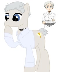 Size: 1080x1350 | Tagged: safe, artist:ponyrefaa, earth pony, human, pony, bust, clothes, crossover, duo, male, norman (the promised neverland), ponified, raised hoof, simple background, stallion, the promised neverland, white background