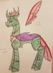 Size: 2842x3913 | Tagged: safe, artist:agdapl, pharynx, changedling, changeling, g4, floating wings, high res, male, prince pharynx, scar, signature, solo, traditional art, wings