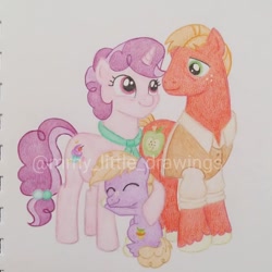 Size: 1050x1050 | Tagged: safe, artist:mmy_little_drawings, big macintosh, little mac, sugar belle, pony, unicorn, g4, clothes, colt, eyelashes, eyes closed, father and child, father and son, female, freckles, horn, hug, like father like son, like mother like son, like parent like child, male, mare, mother and child, mother and son, raised hoof, ship:sugarmac, shipping, smiling, stallion, straight, traditional art, unshorn fetlocks, watermark