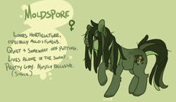Size: 1900x1100 | Tagged: safe, artist:lavvythejackalope, oc, oc only, earth pony, pony, colored hooves, dreadlocks, earth pony oc, female, green background, mare, raised hoof, reference sheet, simple background, smiling, solo