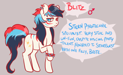Size: 1800x1100 | Tagged: safe, artist:lavvythejackalope, oc, oc only, oc:blitz, earth pony, pony, ear piercing, earth pony oc, face paint, male, piercing, raised hoof, reference sheet, simple background, solo, stallion