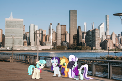 Size: 1920x1280 | Tagged: safe, artist:dashiesparkle, applejack, coco pommel, coloratura, rarity, earth pony, pony, unicorn, g4, countess coloratura, female, irl, manhattan, mare, new york, new york city, photo, ponies in real life, story included, vector