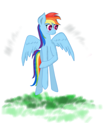 Size: 1721x1988 | Tagged: safe, artist:vankat, rainbow dash, pegasus, pony, g4, blushing, grass, wings