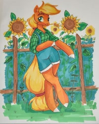 Size: 1080x1350 | Tagged: safe, artist:ariamidnighters, applejack, earth pony, semi-anthro, g4, arm hooves, clothes, cottagecore, female, flower, hay stalk, mare, overalls, shirt, solo, straw in mouth, sunflower, traditional art