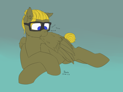 Size: 4000x3000 | Tagged: safe, artist:donnik, oc, oc only, oc:donnik, pegasus, pony, crossed legs, glasses, grooming, lying down, preening, solo