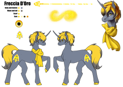 Size: 4961x3508 | Tagged: safe, artist:oneiria-fylakas, oc, oc only, oc:freccia d'oro, pony, unicorn, clothes, male, raised hoof, reference sheet, scarf, simple background, solo, stallion, transparent background