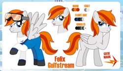 Size: 1200x699 | Tagged: safe, artist:jennieoo, oc, oc only, oc:felix gulfstream, pegasus, pony, clothes, cutie mark, flight suit, goggles, male, reference sheet, show accurate, solo, stallion, thinking