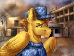 Size: 1280x960 | Tagged: safe, artist:raychelrage, oc, oc only, oc:desert snake, pegasus, pony, brown hair, clothes, commission, green eyes, military, military uniform, pegasus oc, solo, uniform
