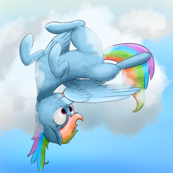 Size: 1024x1024 | Tagged: safe, artist:laurada, rainbow dash, pegasus, pony, g4, cloud, female, grooming, mare, on a cloud, preening, sky, solo