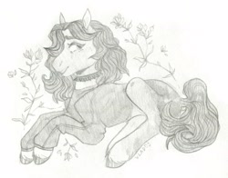 Size: 2560x2003 | Tagged: safe, artist:soudooku, oc, oc only, earth pony, pony, high res, monochrome, sketch, solo