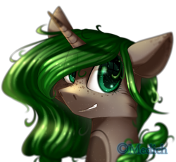 Size: 2559x2343 | Tagged: safe, artist:mediasmile666, oc, oc only, pony, unicorn, bust, freckles, high res, looking at you, portrait, simple background, smiling, solo, transparent background