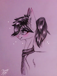 Size: 3120x4160 | Tagged: safe, artist:jsunlight, oc, oc only, earth pony, pony, sketch, solo, traditional art