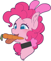 Size: 1430x1700 | Tagged: safe, artist:taytinabelle, part of a set, pinkie pie, earth pony, pony, g4, animal costume, bunny costume, bunny ears, bust, carrot, choker, clothes, collar, costume, cute, ear fluff, female, food, happy, herbivore, mare, simple background, smiling, solo, tongue out, transparent background