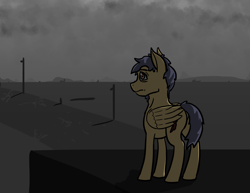 Size: 3300x2550 | Tagged: safe, artist:tofuslied-, oc, oc only, pegasus, pony, fallout equestria, dashite, high res, solo