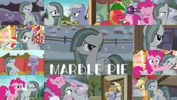 Size: 1970x1109 | Tagged: safe, edit, edited screencap, editor:quoterific, screencap, big macintosh, igneous rock pie, limestone pie, marble pie, pinkie pie, sugar belle, earth pony, pony, g4, hearthbreakers, my little pony best gift ever, rock solid friendship, the cutie mark chronicles, the maud couple, collage, female, filly, male, mare, stallion