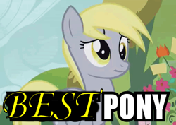 Size: 398x281 | Tagged: safe, edit, edited edit, edited screencap, screencap, derpy hooves, pony, g4, slice of life (episode), best pony, bronybait, caption, cropped, ftfy, image macro, op is a swan, solo, text, truth