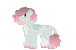 Size: 1280x854 | Tagged: safe, artist:itstechtock, oc, oc only, oc:birdie, pegasus, pony, female, filly, offspring, parent:rumble, parent:sweetie belle, parents:rumbelle, simple background, solo, white background