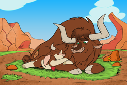 Size: 3024x2024 | Tagged: safe, artist:duragan, arizona (tfh), texas (tfh), bull, cow, them's fightin' herds, arizonadorable, community related, cute, daaaaaaaaaaaw, duo, father and child, father and daughter, female, grass, high res, male, prairie, rock, snuggling, wholesome