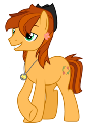 Size: 1280x1748 | Tagged: safe, artist:hate-love12, oc, oc only, oc:sunset sweety, earth pony, pony, male, simple background, solo, stallion, transparent background