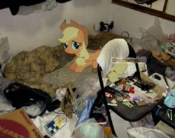 Size: 913x720 | Tagged: safe, editor:notxweeb, applejack, earth pony, pony, g4, bed, female, hat, hikikomori, irl, lying down, lying on bed, meme, messy, messy room, obtrusive watermark, on bed, photo, ponies in real life, room, solo, watermark