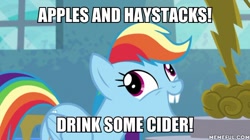 Size: 600x337 | Tagged: safe, edit, edited screencap, screencap, rainbow dash, pony, g4, newbie dash, caption, forthright filly, image macro, memeful.com, solo, text