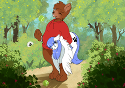Size: 3508x2480 | Tagged: safe, artist:wbp, oc, oc:snow pup, bear, pegasus, pony, ball, berry bush, bush, carrying, clothes, dirt road, female, forest, frisbee, furry, furry oc, high res, holding a pony, hoodie, looking at something, looking at you, mare, one eye closed, simple background, sports, spread wings, tennis, tennis ball, wings, wink, wristband