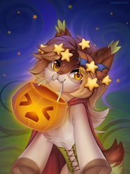 Size: 899x1200 | Tagged: safe, artist:margony, oc, oc only, cat, cat pony, original species, pony, halloween, holiday, jack-o-lantern, looking at you, mouth hold, pumpkin, pumpkin bucket, smiling, solo, stars, underhoof