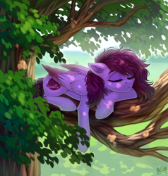 Size: 3500x3675 | Tagged: safe, artist:hakaina, oc, oc only, oc:veen, pegasus, pony, beautiful, eyes closed, freckles, high res, lighting, lying down, prone, scenery, sleeping, slender, solo, thin, tree, tree branch