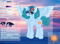 Size: 1024x765 | Tagged: safe, artist:maryhoovesfield, oc, oc only, pegasus, pony, cyrillic, ear fluff, eyelashes, grin, pegasus oc, reference sheet, russian, signature, smiling, solo, spread wings, wings