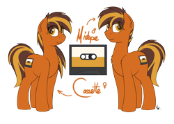 Size: 2100x1500 | Tagged: safe, artist:ponynamedmixtape, oc, oc only, oc:cassette, oc:mixtape, earth pony, pony, cutie mark, female, male, r63 paradox, reference sheet, rule 63, self paradox, simple background, transparent background