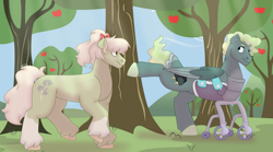 Size: 1280x712 | Tagged: safe, artist:itstechtock, oc, oc only, oc:cloudy cortland, oc:jade lightning, earth pony, pegasus, pony, amputee, congenital amputee, female, male, mare, missing limb, offspring, parent:big macintosh, parent:marble pie, parent:sky stinger, parent:vapor trail, parents:marblemac, parents:vaporsky, stallion, tree, wheelchair