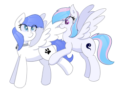 Size: 3200x2400 | Tagged: safe, artist:eyeburn, oc, oc only, oc:snow pup, oc:starburn, pegasus, pony, collar, ear fluff, female, grooming, high res, lifted leg, looking back, mare, on hind legs, pet tag, preening, simple background, spread wings, standing, transparent background, wings