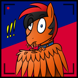 Size: 725x725 | Tagged: safe, artist:anorangepegasus, oc, oc only, oc:winged whisper, pegasus, pony, collar, exclamation point, eye clipping through hair, eyebrows, eyebrows visible through hair, feather, grooming, male, preening, recording, solo, spread wings, stallion, surprised, wings