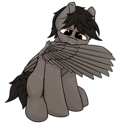 Size: 1748x1848 | Tagged: safe, artist:luther, oc, oc only, oc:luther, pegasus, pony, grooming, male, preening, simple background, sitting, solo, transparent background