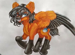 Size: 1024x753 | Tagged: safe, artist:maryhoovesfield, oc, oc only, pegasus, pony, coat markings, ear fluff, eyelashes, fangs, hoof fluff, pegasus oc, socks (coat markings), solo, traditional art, two toned wings, wings