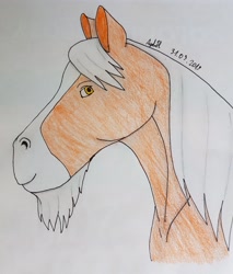 Size: 2928x3430 | Tagged: safe, artist:agdapl, oc, oc only, earth pony, pony, beard, bust, earth pony oc, facial hair, high res, signature, solo, traditional art