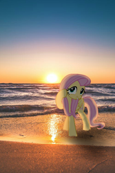 Size: 500x750 | Tagged: safe, fluttershy, pegasus, pony, g4, beach, smiling, sundown