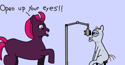 Size: 1920x997 | Tagged: safe, artist:ncpilot, fizzlepop berrytwist, mr. waddle, tempest shadow, pony, g4, 1000 hours in ms paint, missing cutie mark, open up your *very* eyes, open up your eyes, optometrist