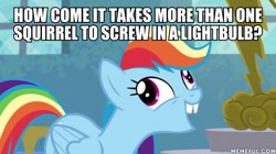 Size: 600x337 | Tagged: safe, edit, edited screencap, screencap, rainbow dash, g4, newbie dash, caption, forthright filly, image macro, memeful.com, spongebob squarepants, squirrel jokes, text