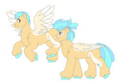 Size: 1280x854 | Tagged: safe, artist:itstechtock, oc, oc only, oc:jellyfish, oc:sea breeze, hybrid, pegasus, pony, interspecies offspring, male, offspring, parent:scootaloo, parent:terramar, parents:terraloo, simple background, stallion, white background
