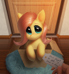 Size: 2408x2602 | Tagged: safe, artist:klooda, fluttershy, human, pegasus, pony, g4, box, cute, daaaaaaaaaaaw, detailed, detailed background, door, female, floor, flutterbox, folded wings, hand, high res, holding, hooves together, indoors, looking at you, looking up, looking up at you, mailbox, morning, note, offscreen character, open mouth, package, pony in a box, pov, realistic, room, rug, shyabetes, sitting, solo, text, weapons-grade cute, wings